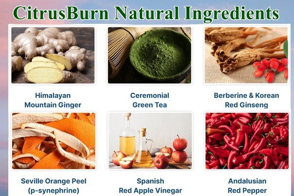 Citrusburn Ingredients
